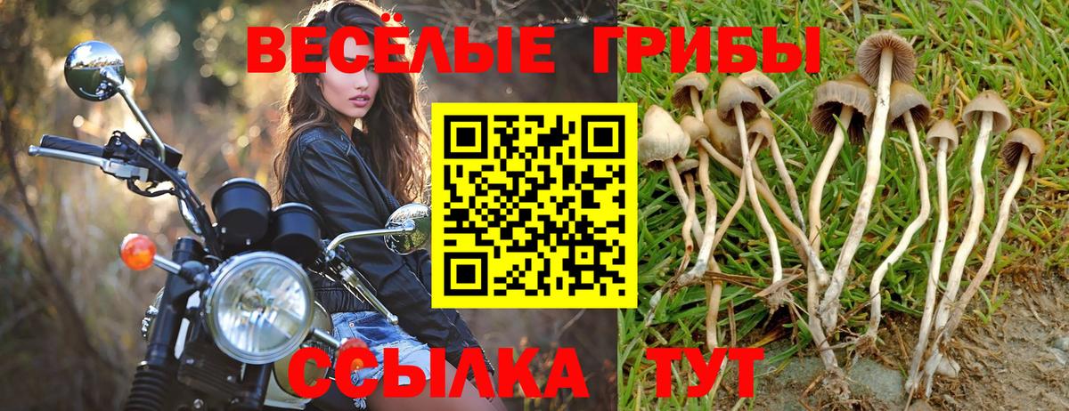 Псилоцибиновые грибы Magic Shrooms Архангельск